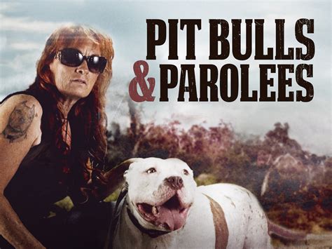 Prime Video: Pit Bulls & Parolees, Season 11