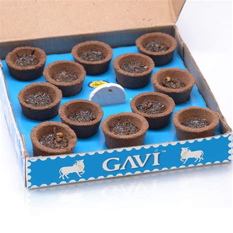 Cycle Pure Gavi Cow Dung Sambrani Dhoop Cups for India | Ubuy