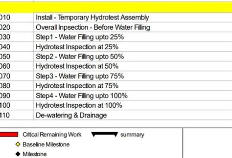 Hydro Test API 650 的图像结果