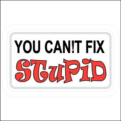 You Cant Fix Stupid Hard Hat Sticker