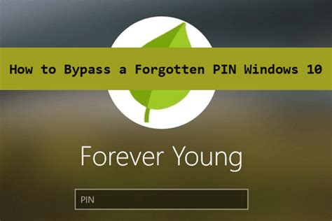 Image result for Bypassing Pin Code in Windows 10