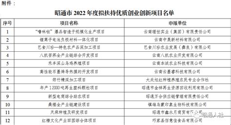 昭通市2022年度拟扶持优质创业创新项目公示_申报_评审_社会
