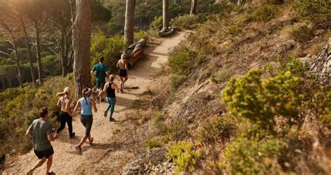 Types of Runs 的图像结果