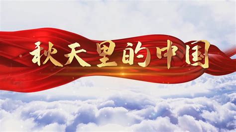 【爱南京】东南梧桐，叶舞深秋！来这里，看南京最人文的梧桐大道