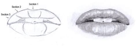 Image result for Lips Drawing Shading Tutorial