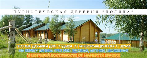 База отдыха "ПОЛЯНА"/Глэмпинг "Поляна-Лес" 2024 | ВКонтакте