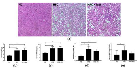 Metformin Ameliorates Testicular Function and Spermatogenesis in Male ...