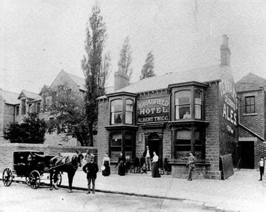 Searching Picture Sheffield