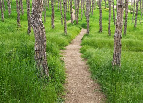 Image result for Shortest path problem Dijkstras Algorithm