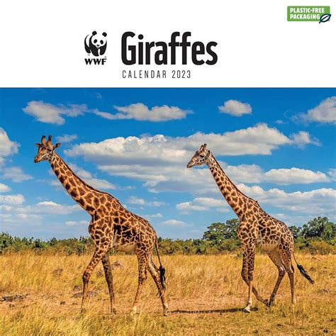 WWF Giraffes Square Wall Calendar 2023 : Amazon.in: Books