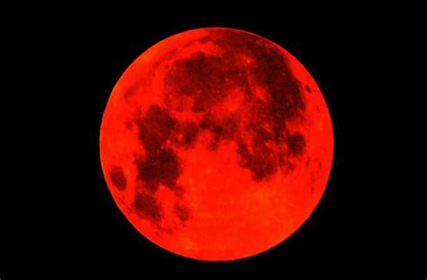 直播预告：超级红月亮+月全食 夜空震撼上演|地球|月球_新浪科技_新浪网