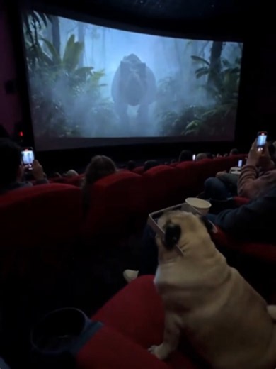 Are Insane 4D Movie Theaters Actually Real? The Truth Revealed