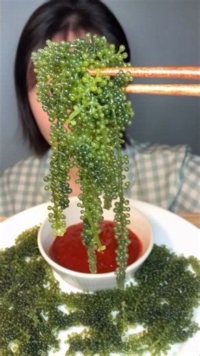 This seaweed looks exactly like tiny greaps! #shorts #gardening #farming #plants