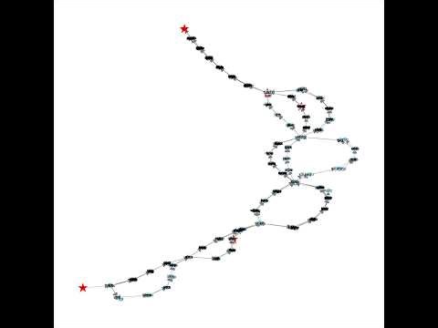 Advent of Code 2025 Day 11: Graphs and Dynamic Programming [Python]