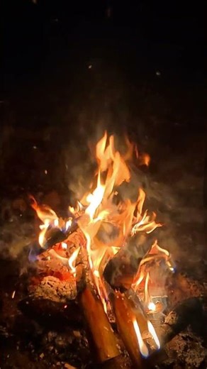 Burning Log Suddenly Collapses → Massive Spark Explosion 🔥 Real Campfire ASMR #firesounds #campfire