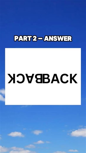 Puzzle Answer Explained (Did You Get It?) 🧩