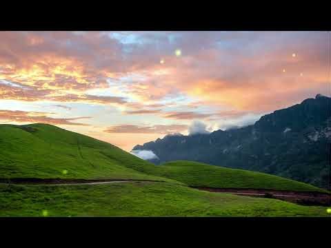 Relaxing Chinese Music for Study & Work | Gentle Guzheng, Dizi & Erhu | Stress Relief & Calm