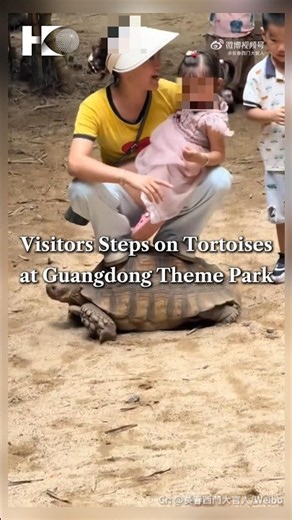 Visitors Step on Tortoises at Guangdong Theme Park