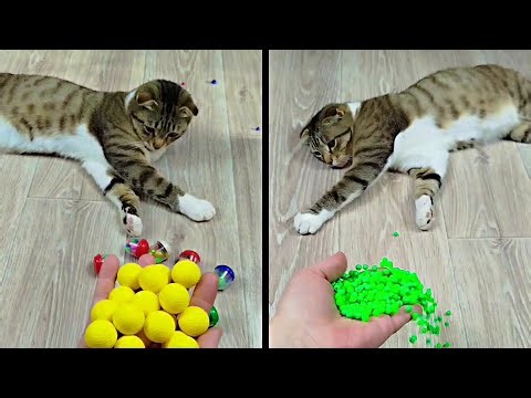 Satisfying Reverse Video ASMR 💥 Marble Run and More