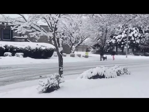 Una poderosa tormenta invernal cubre de blanco el Noreste del país | Noticias Telemundo