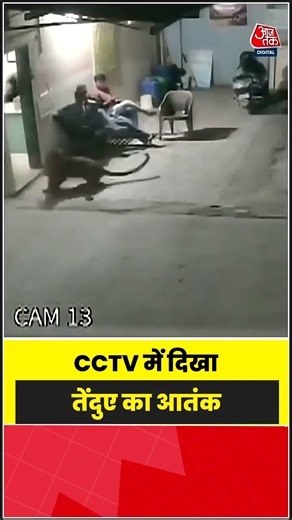 Viral video: CCTV में दिखा तेंदुए का आतंक #shorts #latest #viral #aajtak