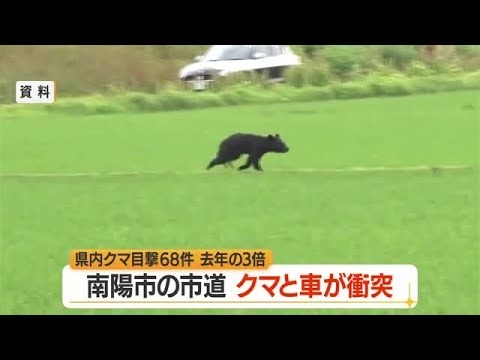 【クマ出没】車と衝突後山へ・2025年比3倍の目撃件数…本格化する農作業・山菜採り時に注意を　山形