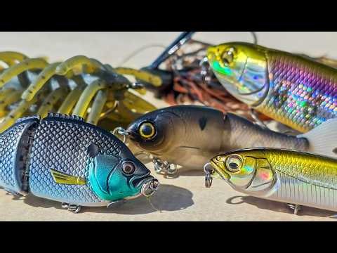 How To Catch Bass In A Brand New Lake! ( Summer Edition )