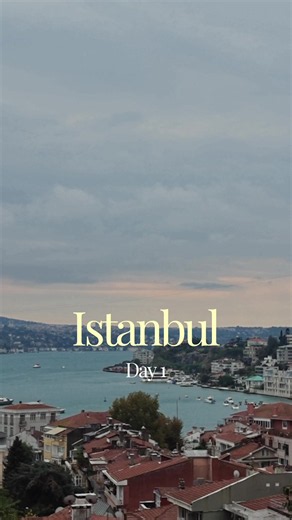 Istanbul Day 1 Vlog: My First Day in Turkey | Naira