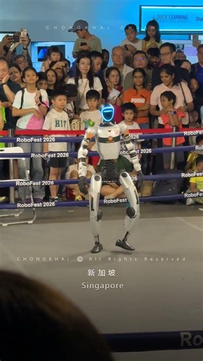 SG Science Centre Robotics Festival | Robo Boxing | 新加坡 科学馆 机器人节 | 机器人拳击