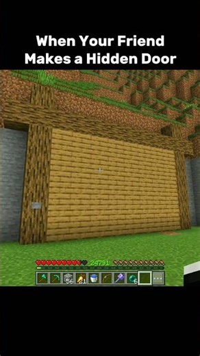 My Friend’s Hidden Door Was INSANE 😨💀