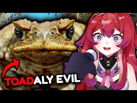 THIS TOAD BROKE AUSTRALIA... | MoreParz Reaction