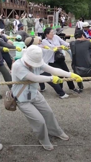 Thousands in Japan are pulling this historic castle back into place