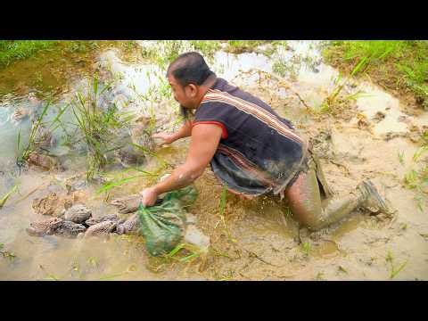 Dwarf Food Catches & Cooks the Perfect Meal in Nature - Frog Cooking Recipe of the Dwarf Tribe