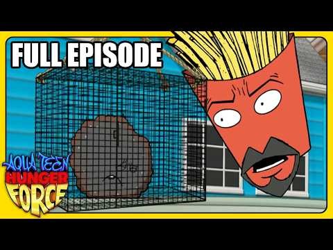 S1E16: PDA | Full Episode | Aqua Teen Hunger Force | adult swim