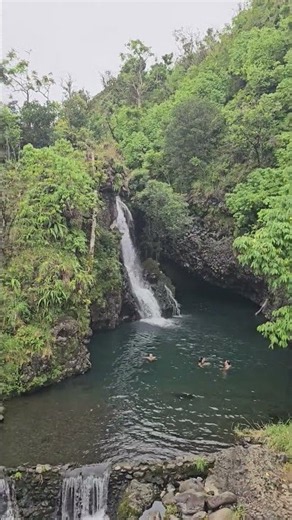 Maui’s Magical Waterfalls | Road to Hana, Hawaii #Shorts