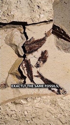 Global Flood Explains Global Rock Layers