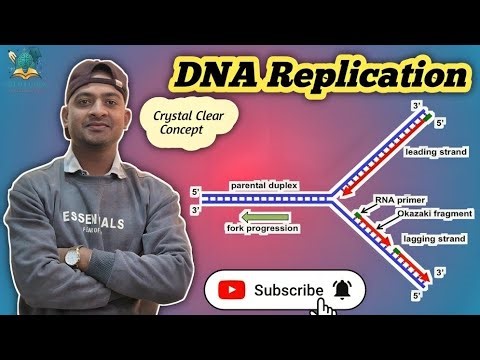 DNA Replication Explained Full Videos | Easy Explaination Semi-Conservative Model, Enzymes & Steps