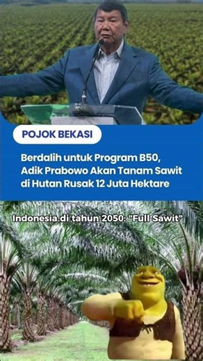 Adik Prabowo Akan Tanam Sawit 12 Juta Hektare