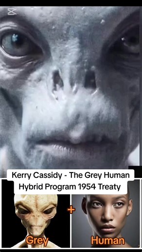 Kerry Cassidy: The Grey Human Hybrid Program & 1954 Treaty