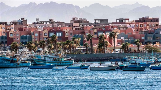 Tourist dies after being bitten at snake show while on vacation in Egypt