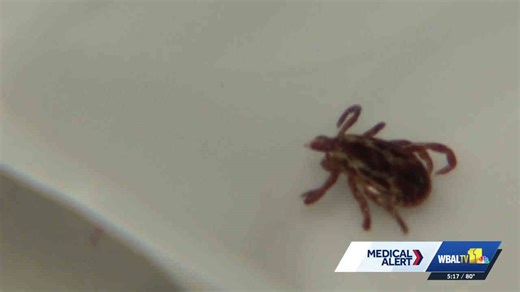 CDC: Tick bite-related ER visits are on the rise
