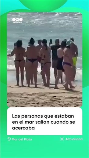 Un lobo marino enojado “echaba” del mar a la gente en una playa de Mar del Plata.