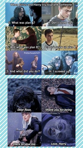 Sirius & Harry’s Prank Gone WRONG 😂💀 | Harry Potter Meme #Shorts #memes #newmemes