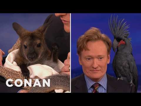 Animal Expert David Mizejewski: Wallaby, Black Palm Cockatoo & More | CONAN on TBS