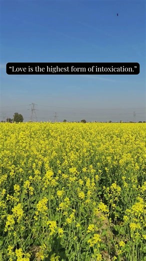 Love: The Most Powerful Intoxication | A Deep Life Truth.