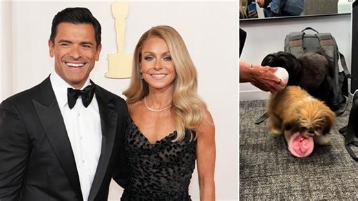 Kelly Ripa and Mark Consuelos Introduce New Family Member After Death of Beloved Dog