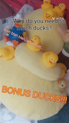 BONUS DUCKS!!!