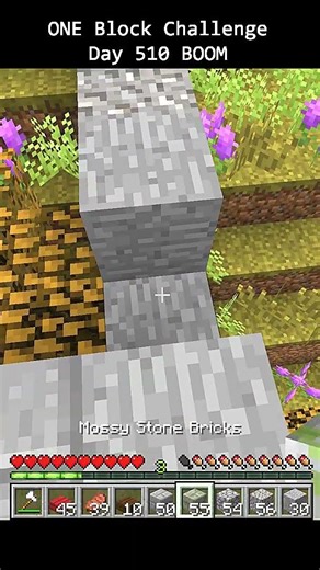 Day 510 Minecraft build challenge - ONE BLOCKS BUILD