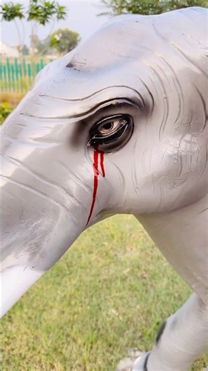 Anaya Sabki Help Karti Hai ❤️