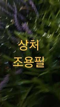 상처-조용필 #musiccut #musicshorts